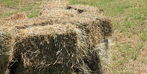 Round Bale Hay Feeders Archives The Hay Manager