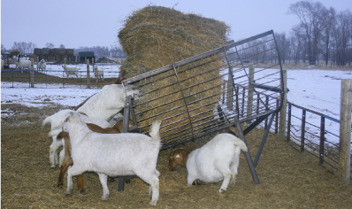 Hay Feeders, Round Bale Feeders - The Hay Manager (Products)