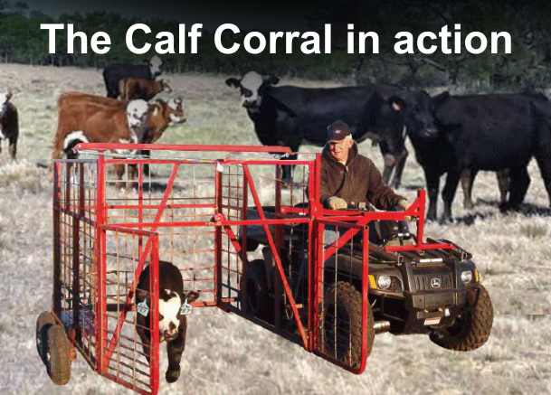 Calf Corral in use on ranch The Calf Corral in action on a ranch
